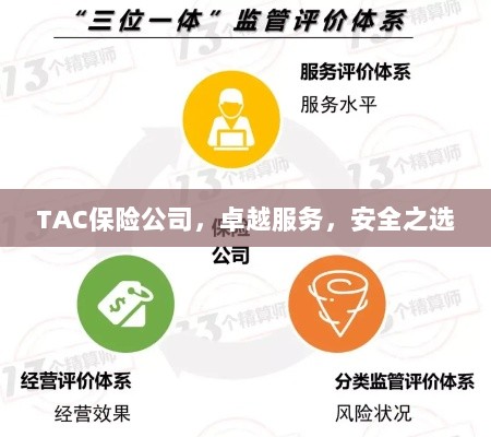 TAC保险公司，卓越服务，信赖的安全之选-图1