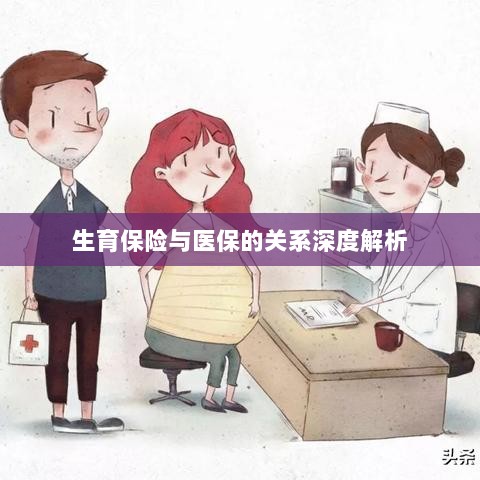 生育保险与医保关系的深度探讨-图1 生育保险与医保关系的深度探讨-图1