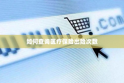 医疗保险出险次数查询攻略-图1 医疗保险出险次数查询攻略-图1