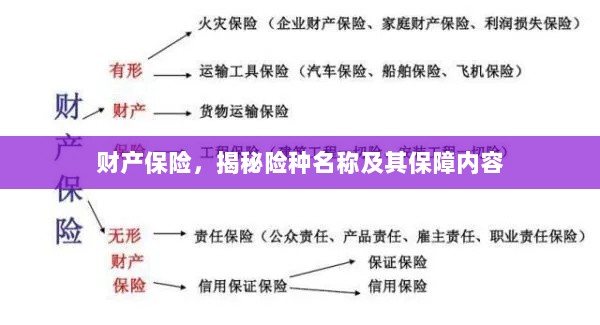 财产保险揭秘,险种名称与保障内容全解析-图1 财产保险揭秘,险种名称与保障内容全解析-图1