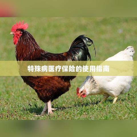 特殊病医疗保险使用指南详解-图1 特殊病医疗保险使用指南详解-图1