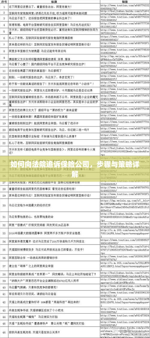 如何向法院追诉保险公司，详细步骤与策略指南-图1