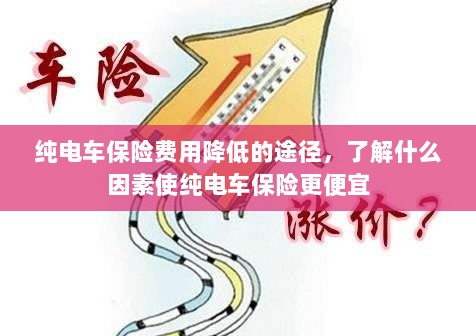 纯电车保险费用降低的途径，哪些因素影响纯电车保险价格？-图1