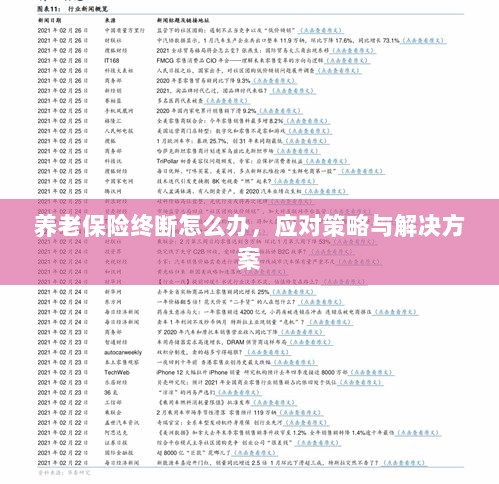 养老保险中断应对指南,解决方案与策略-图1 养老保险中断应对指南,解决方案与策略-图1