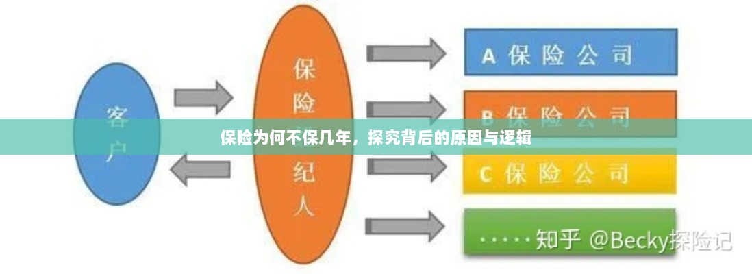 探究保险短期保障背后的原因与逻辑,为何保险不保几年?-图1 探究保险短期保障背后的原因与逻辑,为何保险不保几年?-图1