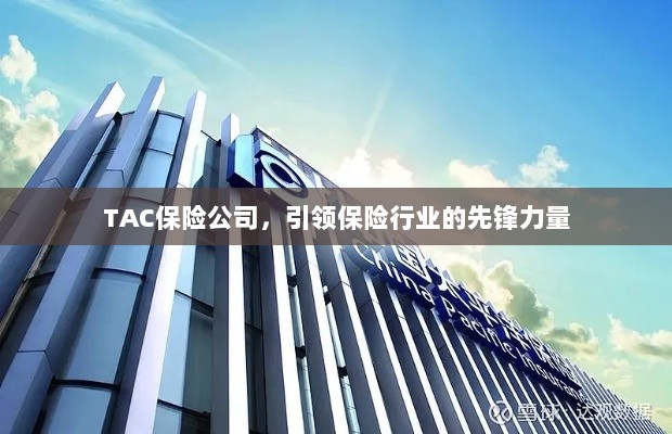 TAC保险公司，引领保险行业的先锋典范-图1
