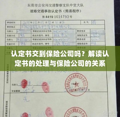 认定书处理流程详解,保险公司与认定书的关联及其处理方式-图1 认定书处理流程详解,保险公司与认定书的关联及其处理方式-图1
