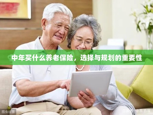 中年养老保险的选择与规划,关键性与策略探讨-图1 中年养老保险的选择与规划,关键性与策略探讨-图1