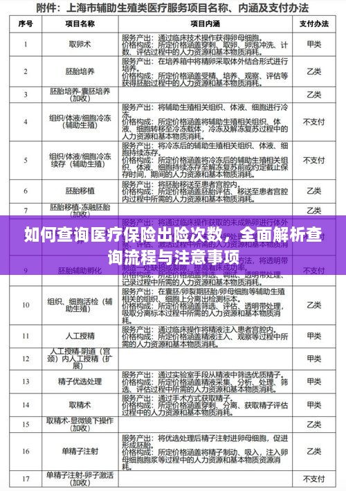 全面解析,医疗保险出险次数查询流程与注意事项指南-图1 全面解析,医疗保险出险次数查询流程与注意事项指南-图1