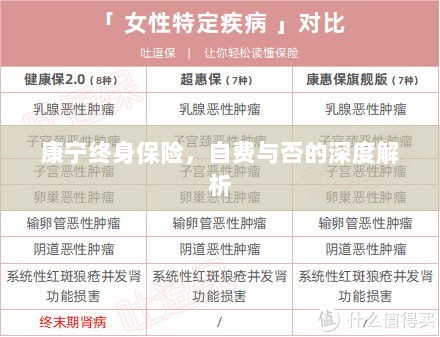 康宁终身保险,自费与否的全面解析与探讨-图1 康宁终身保险,自费与否的全面解析与探讨-图1