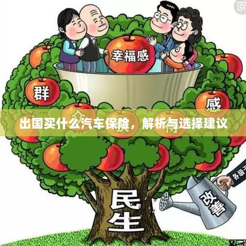 出国购车保险指南，解析与选择建议-图1