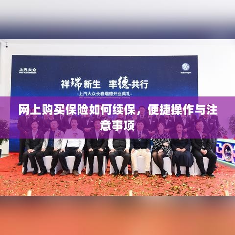网上保险续保攻略，便捷操作及注意事项-图1