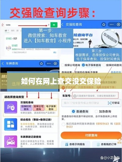 网上查保险缴纳状态指南-图1