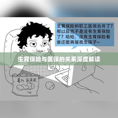 生育保险与医保关系的深度解析与解读-图1