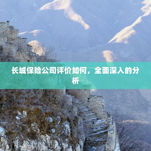长城保险公司评价深度解析，全方位视角探究其表现与优势-图1