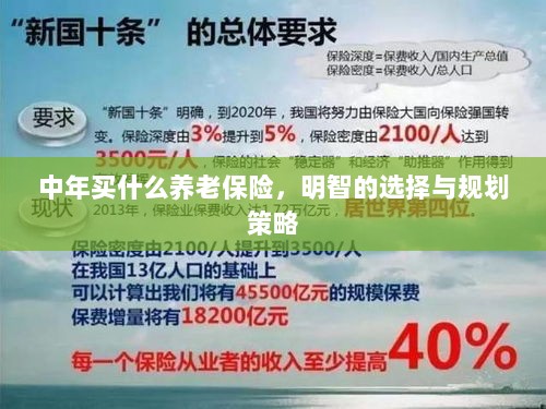 中年明智之选，养老保险的规划与策略-图1