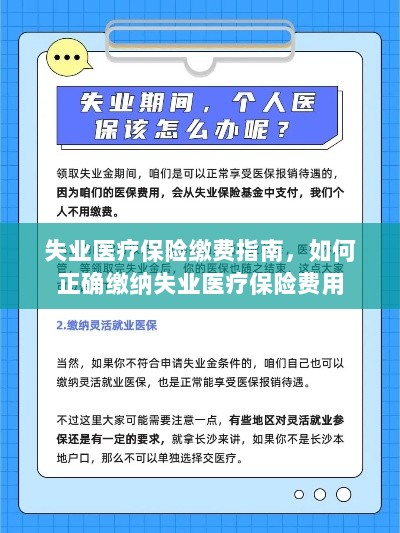 失业医疗保险缴费详解,如何正确缴纳费用指南-图1 失业医疗保险缴费详解,如何正确缴纳费用指南-图1