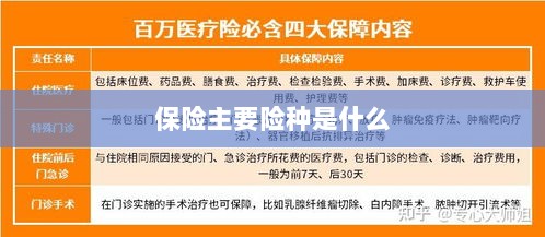 保险主要险种简介与概述-图1 保险主要险种简介与概述-图1
