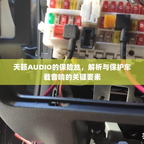 天籁AUDIO保险丝，解析与保护车载音响的核心要素-图1