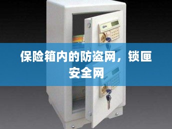 保险箱内防盗网,锁匣安全守护之选-图1 保险箱内防盗网,锁匣安全守护之选-图1