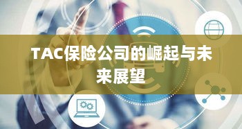 TAC保险公司的崛起及未来展望-图1
