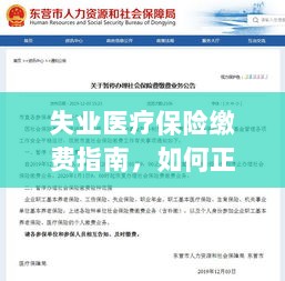 失业医疗保险缴费详解,如何正确缴纳费用指南-图1 失业医疗保险缴费详解,如何正确缴纳费用指南-图1