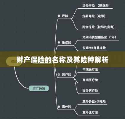 财产保险名称及险种深度解析-图1 财产保险名称及险种深度解析-图1