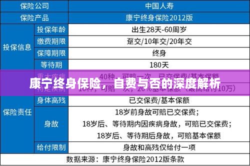 康宁终身保险，自费与否的全面解析与探讨-图1