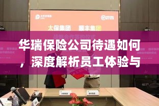 华瑞保险公司员工待遇与福利深度解析-图1