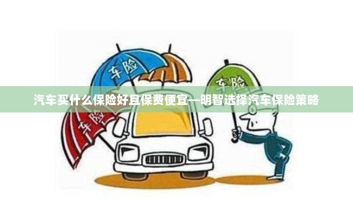 如何明智选择汽车保险策略，保障全面且保费实惠的保险推荐-图1