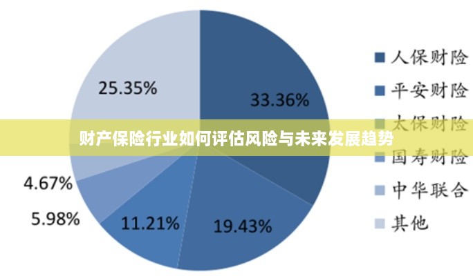 财产保险行业风险评估及未来发展趋势展望-图1 财产保险行业风险评估及未来发展趋势展望-图1