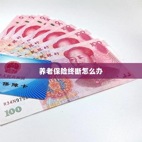 养老保险中断解决方案-图1