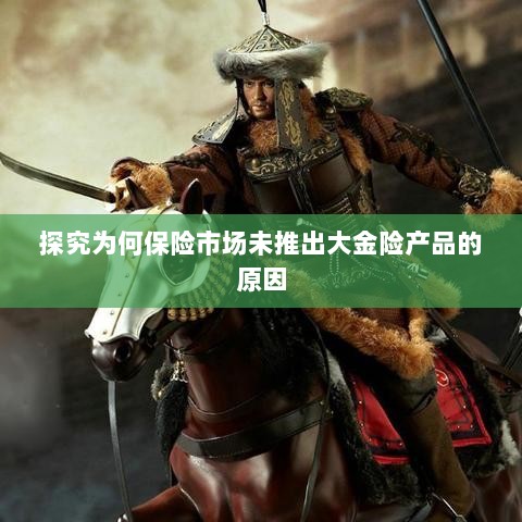 保险市场未推出大金险产品的原因探究-图1