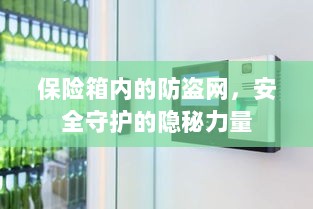 保险箱内防盗网,守护安全的隐秘力量-图1 保险箱内防盗网,守护安全的隐秘力量-图1