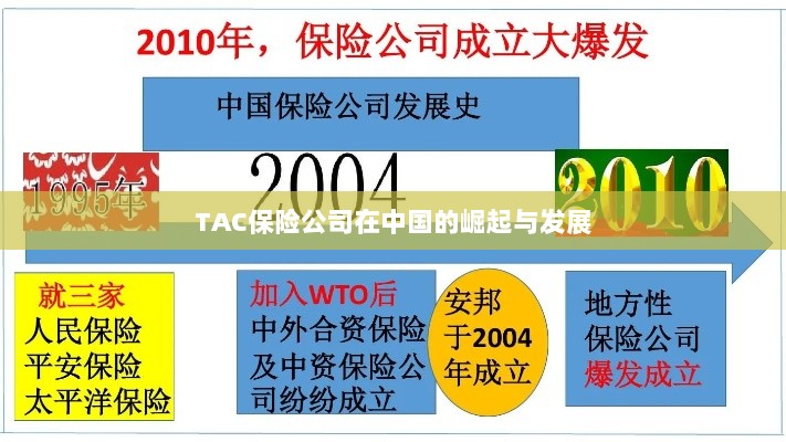 TAC保险公司在中国的崛起与蓬勃发展之路-图1