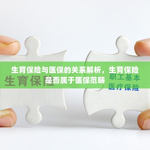 生育保险与医保关系解析,生育保险是否纳入医保范畴探讨-图1 生育保险与医保关系解析,生育保险是否纳入医保范畴探讨-图1