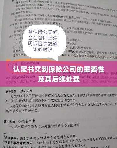 认定书交到保险公司的重要性及后续处理流程详解-图1