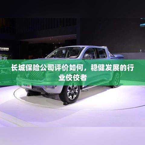 长城保险公司评价积极，行业稳健发展的佼佼者-图1