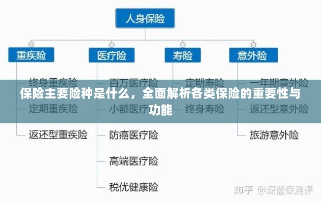全面解析保险主要险种,各类保险的重要性与功能介绍-图1 全面解析保险主要险种,各类保险的重要性与功能介绍-图1