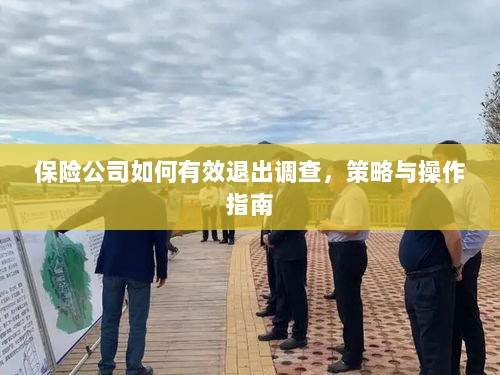 保险公司调查退出策略与操作指南,有效方法与步骤-图1 保险公司调查退出策略与操作指南,有效方法与步骤-图1