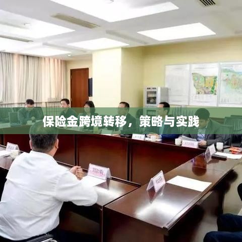 保险金跨境转移的策略与实践探讨-图1 保险金跨境转移的策略与实践探讨-图1