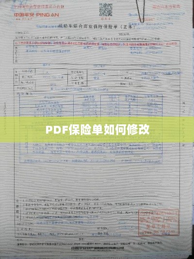 PDF保险单修改指南-图1 PDF保险单修改指南-图1