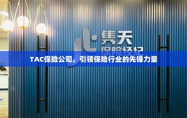 TAC保险公司，引领保险行业的先锋典范-图1