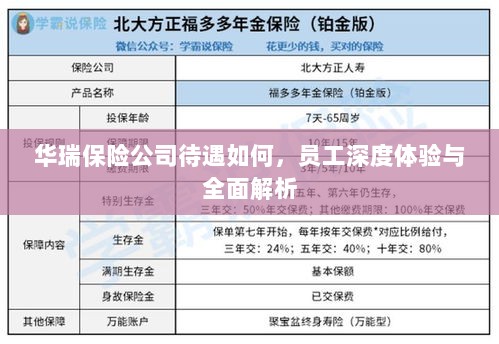 华瑞保险公司员工深度体验，待遇与工作环境全面解析-图1