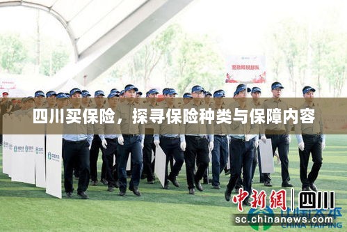 四川保险探秘,种类与保障内容全解析-图1 四川保险探秘,种类与保障内容全解析-图1