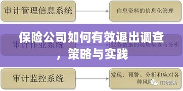 保险公司有效退出调查的策略与实践探讨-图1
