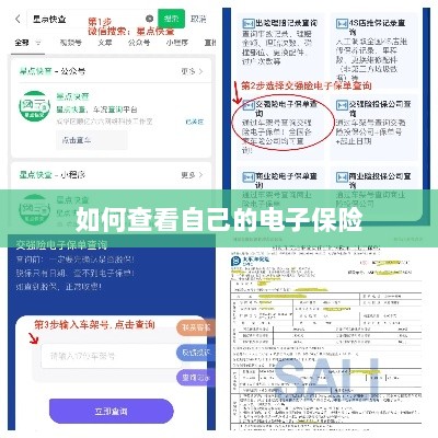 如何查看个人电子保险保单详情-图1 如何查看个人电子保险保单详情-图1