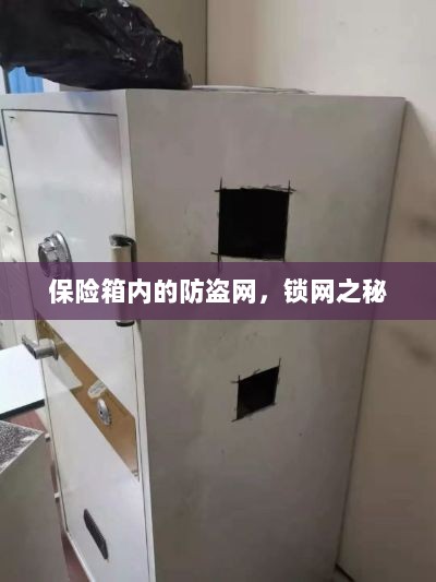 保险箱内的锁网之秘，防盗网的安全解密-图1