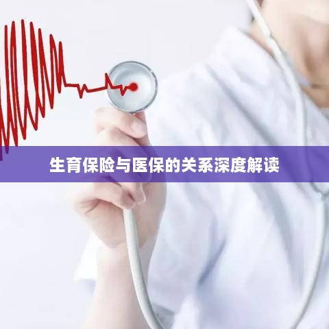 生育保险与医保关系的深度解析与解读-图1
