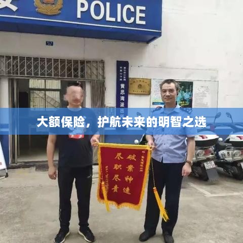 大额保险，明智选择，护航未来安全-图1